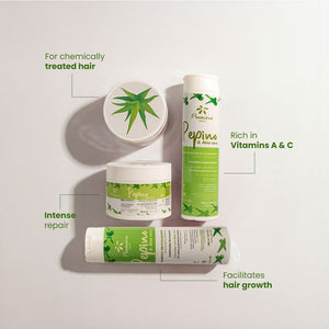 Cucumber & Aloe Vera | Treatment Conditioner 300 ml