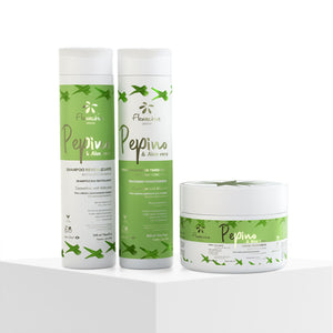 Urban Line Essentials Kit | Cucumber & Aloe Vera
